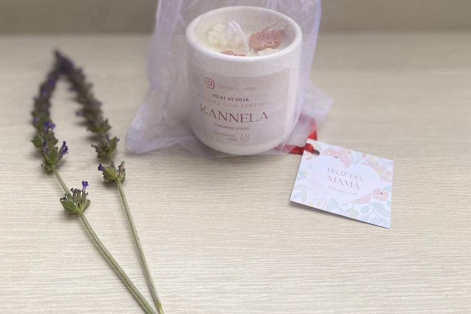 Velita vaso