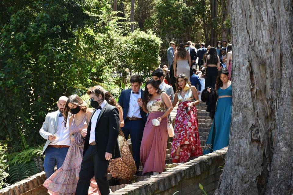 Invitados
