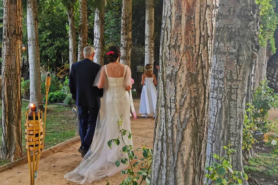 Postres en el jardín