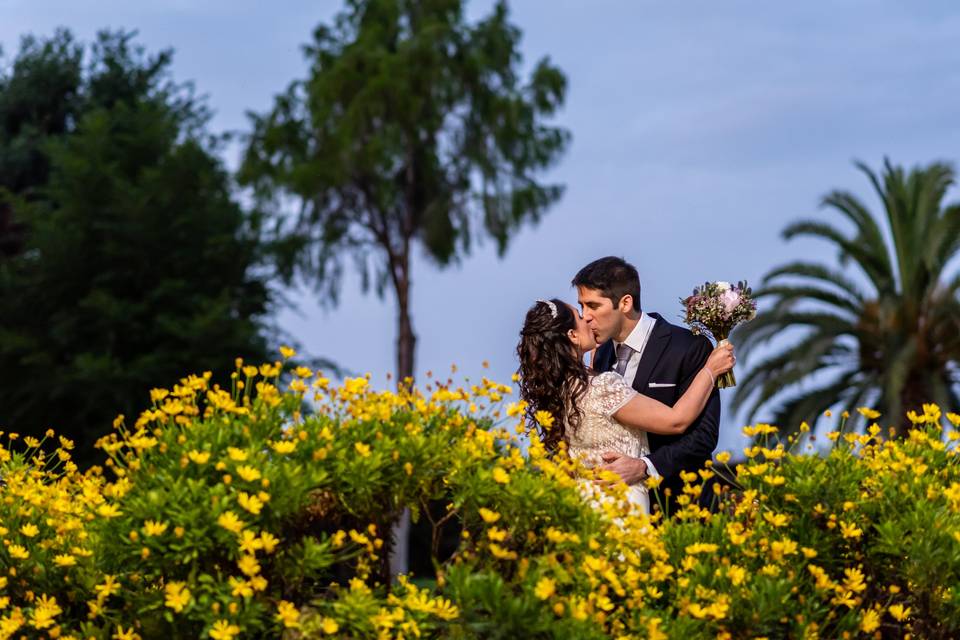 Jardin de paquerets