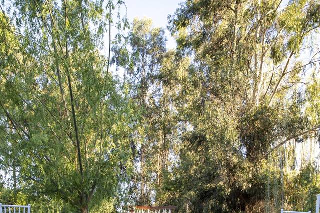 Hacienda Los Eucaliptos