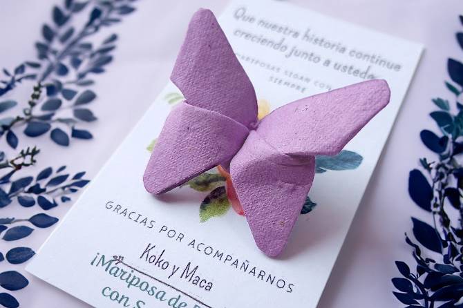 Souvenir mariposa germinable