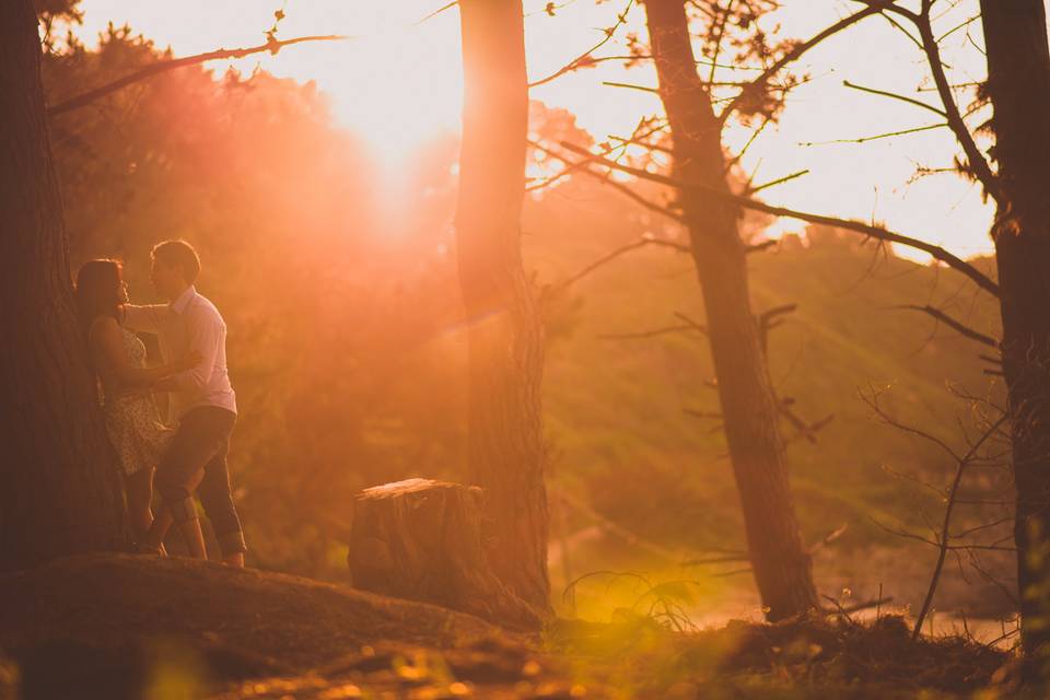 Preboda bosque