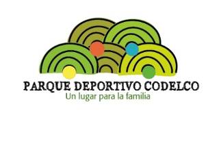 Parque Deportivo Codelco logo