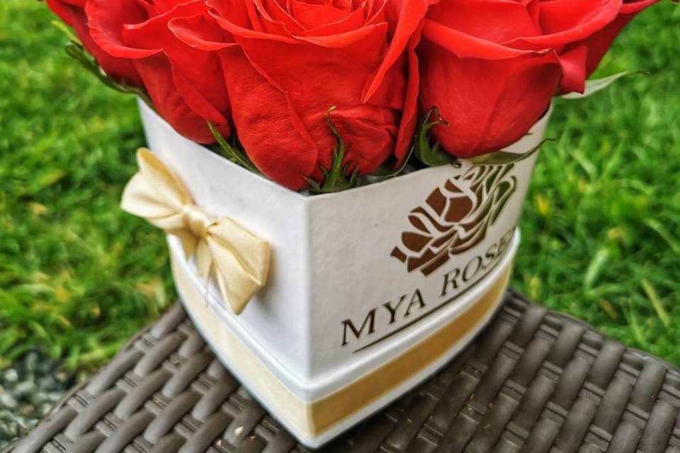 Mya Roses