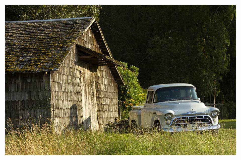 Chevrolet Apache 3100 57