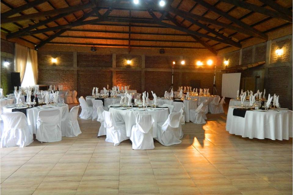 Salón lagartopiedra