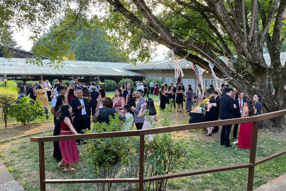 Jardín interior