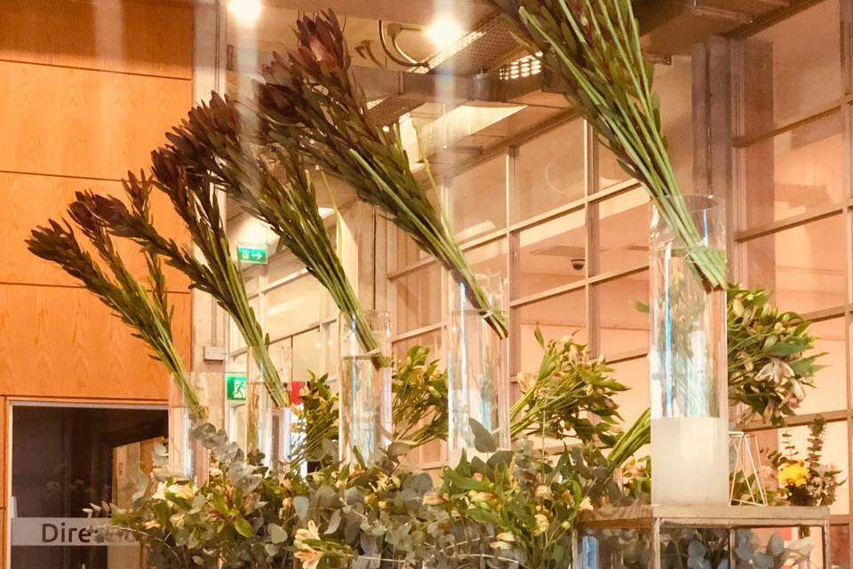 Coctel ucsc