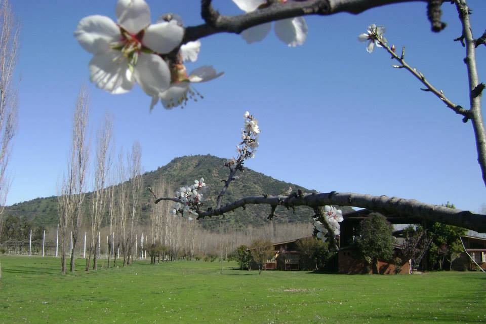 Hacienda Picarquín