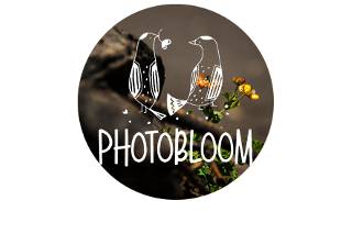 Photobloom Logo