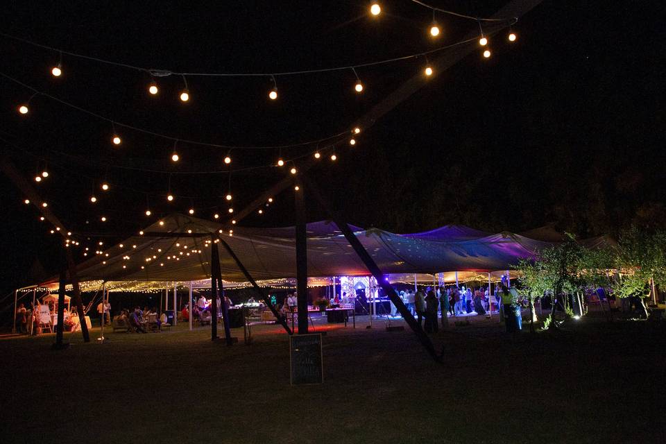 Carpa con luces