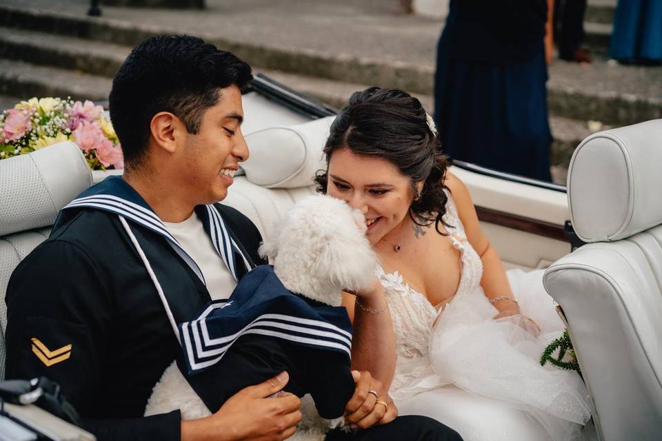 Wedding