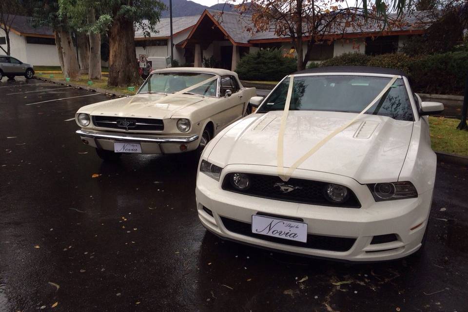 Mustang clasico y moderno