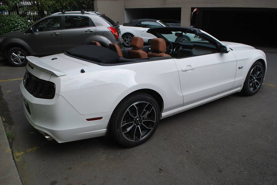 Mustang 2014