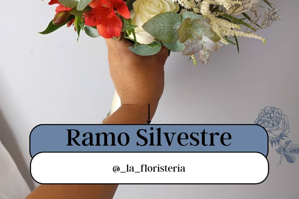 Ramos Novia