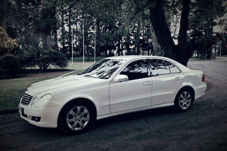 Mercedes-Benz Clase E (2009)