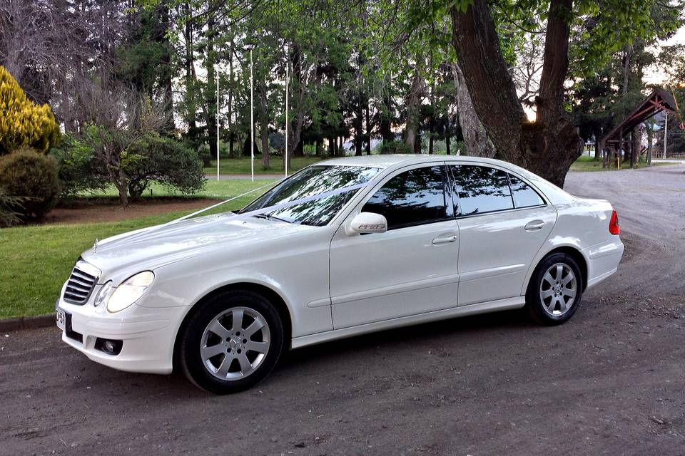 Mercedes-Benz Clase E (2009)