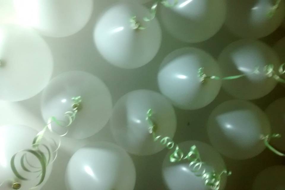 Globos color blancos