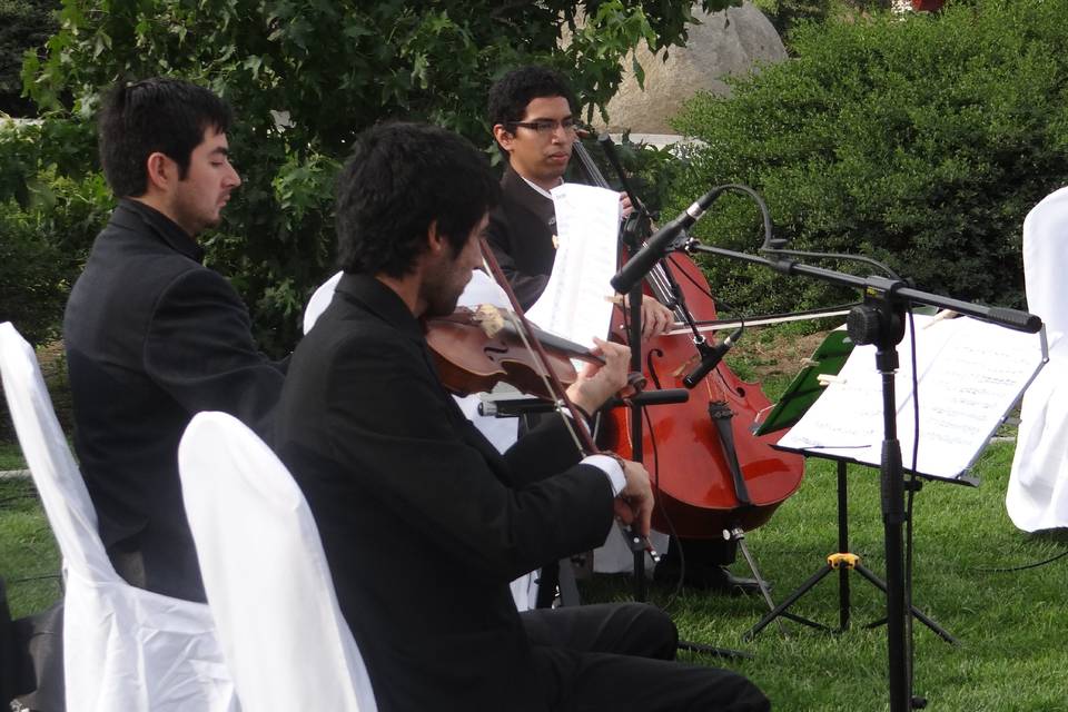 Presentación al aire libre