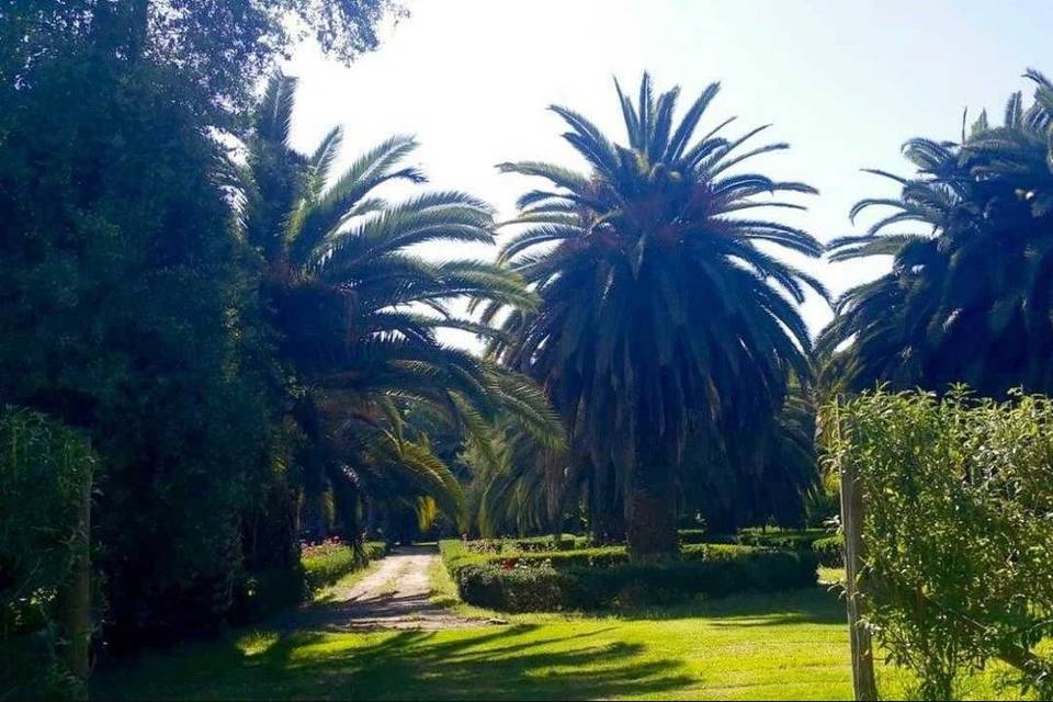 Lugar para celebrar una boda