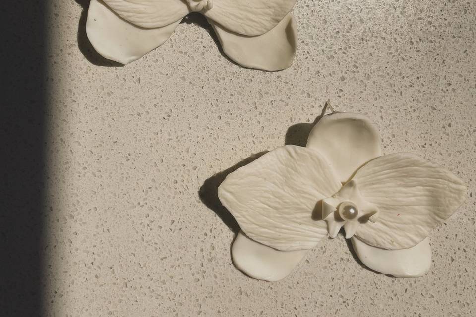 Orquídeas