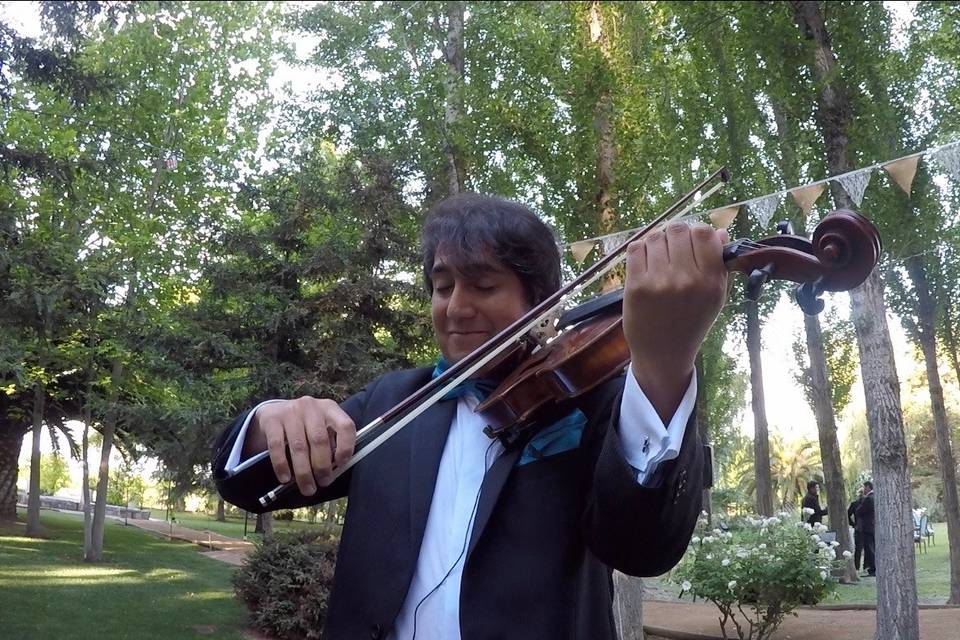 Rodrigo Venegas Violinista