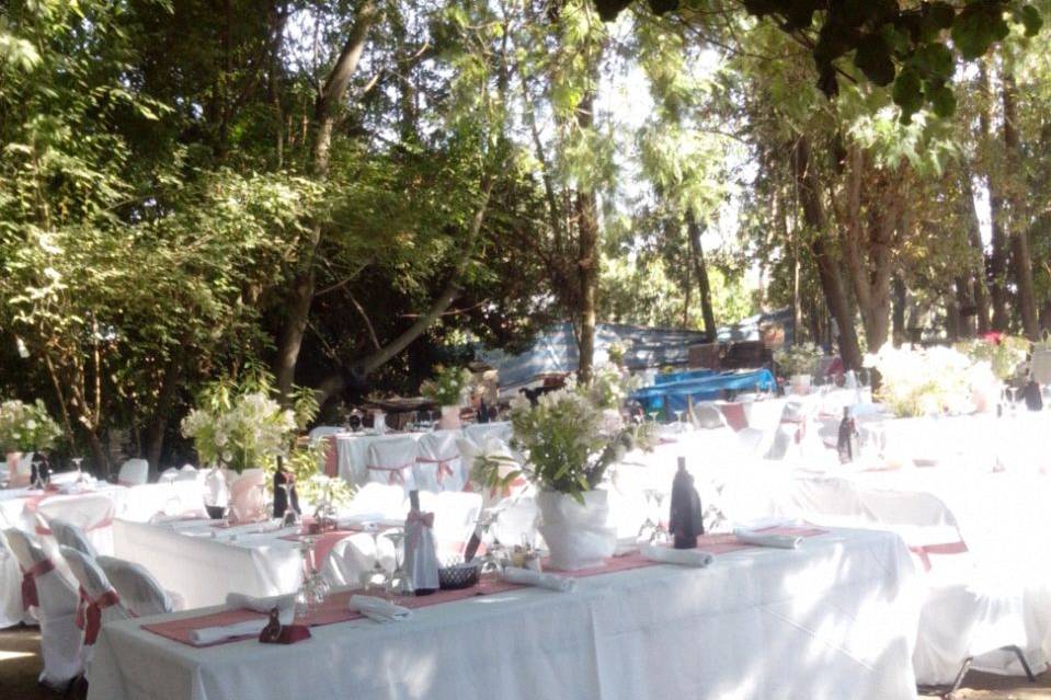 Eventos en parcela