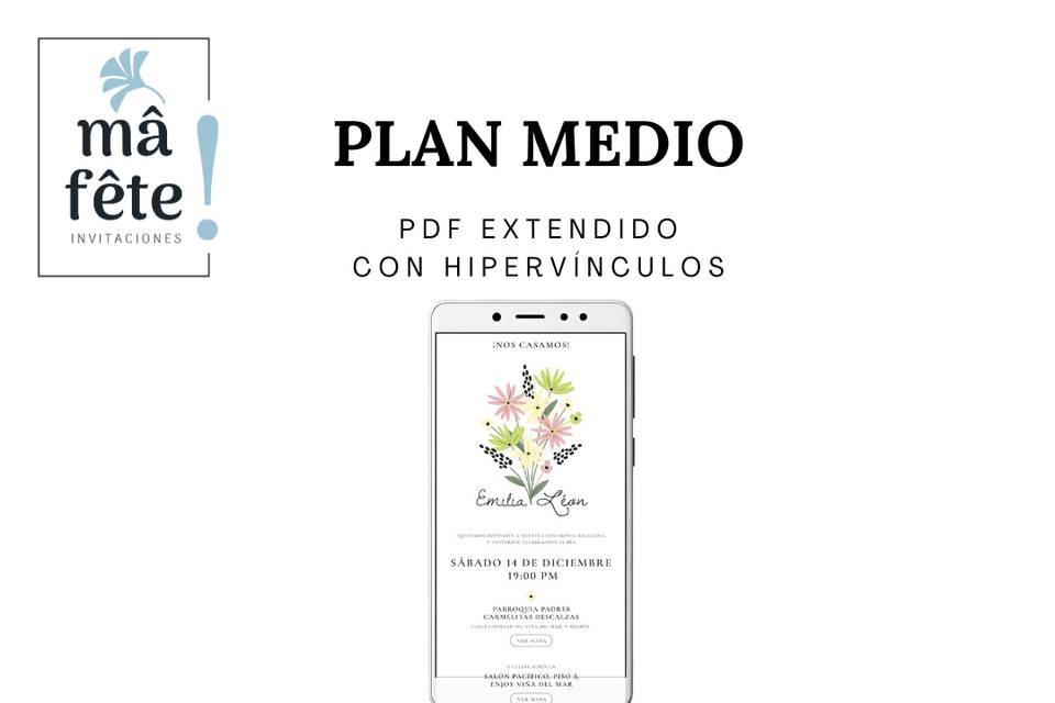 Plan medio