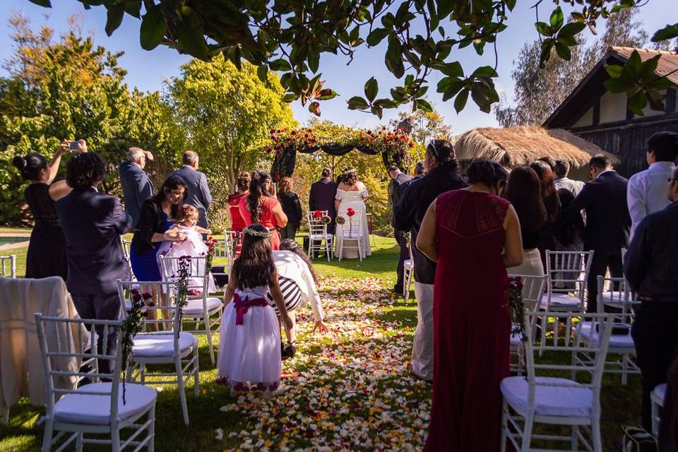 Boda Constanza y Abner