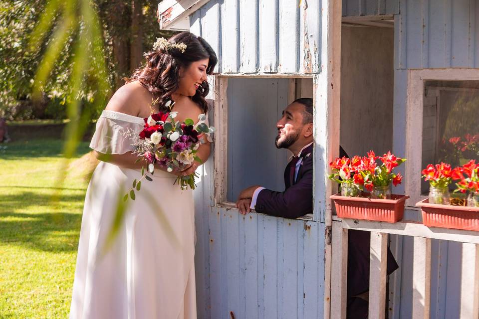 Boda Constanza y Abner