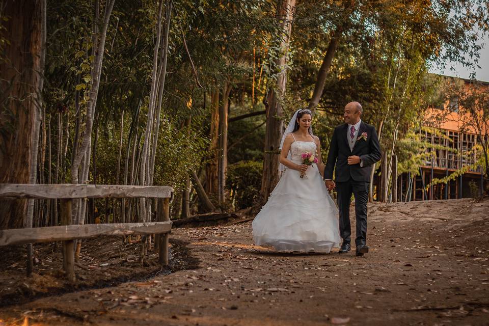 Postboda