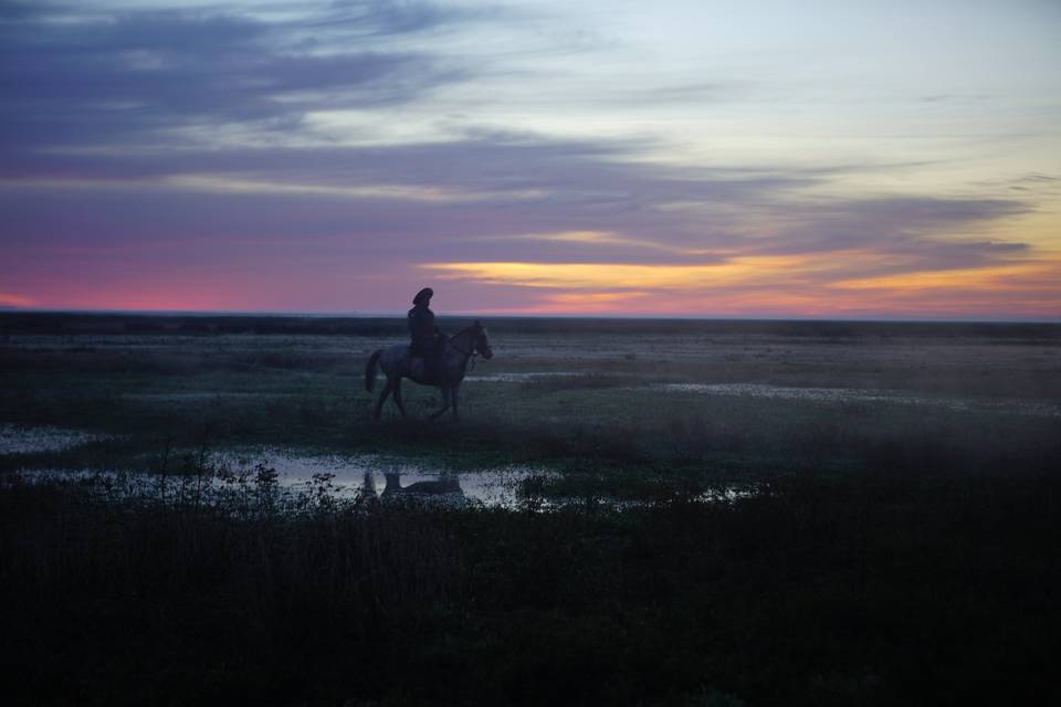 Esteros Ibera Humedal Arg