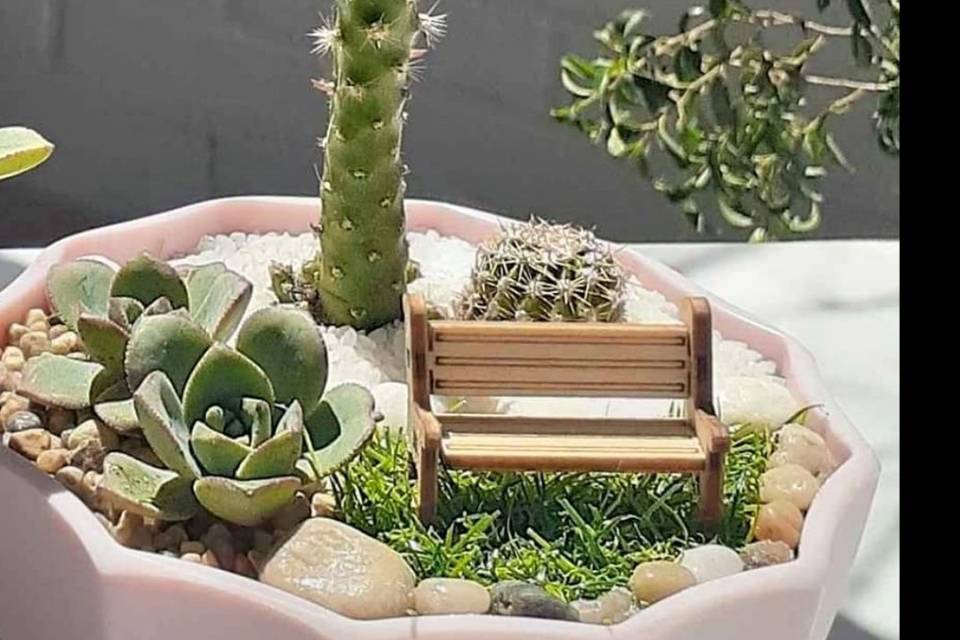 Mini jardin 3