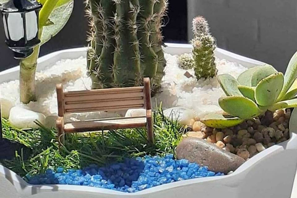 Mini jardin 4