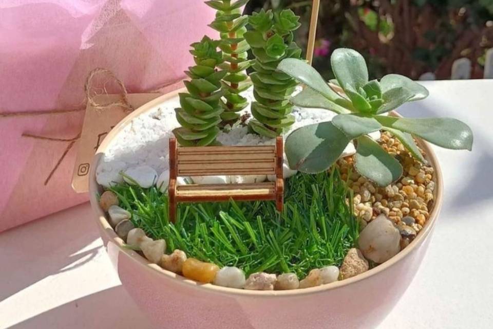 Mini jardin 6