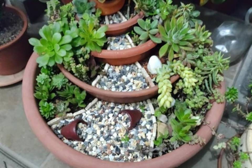 Mini jardin 8