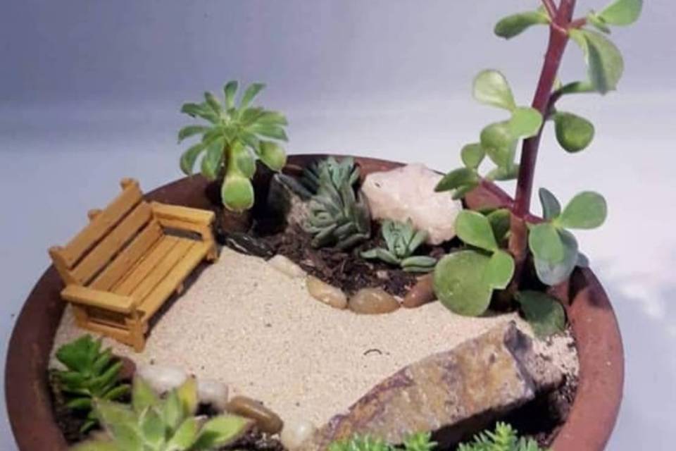 Mini jardin 9