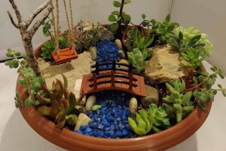 Mini jardin 10