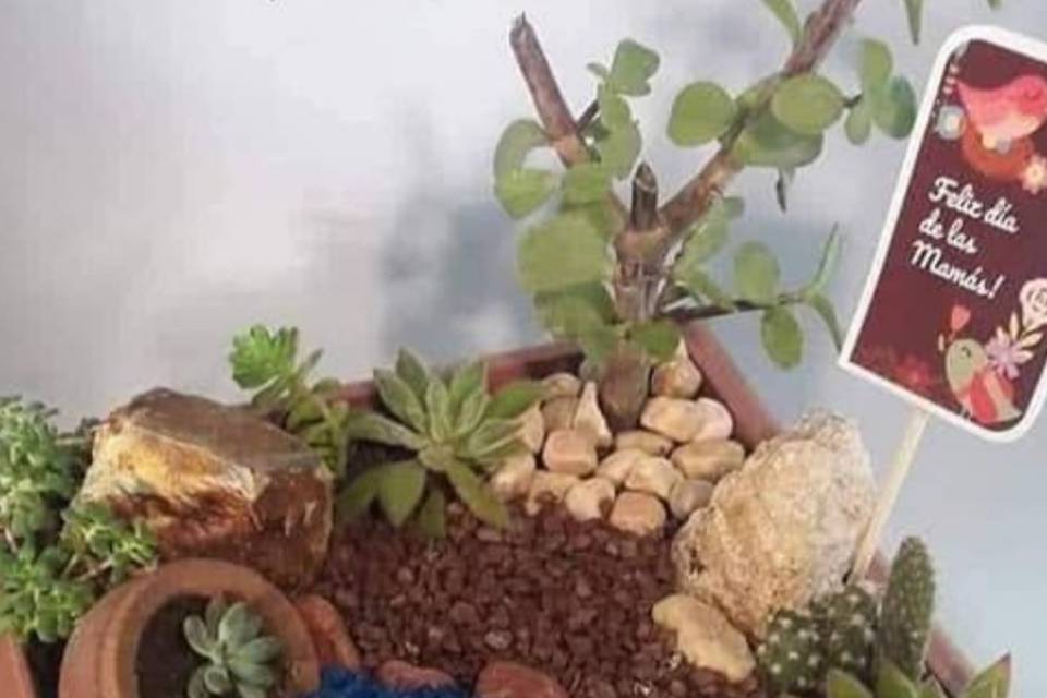 Mini jardin 15