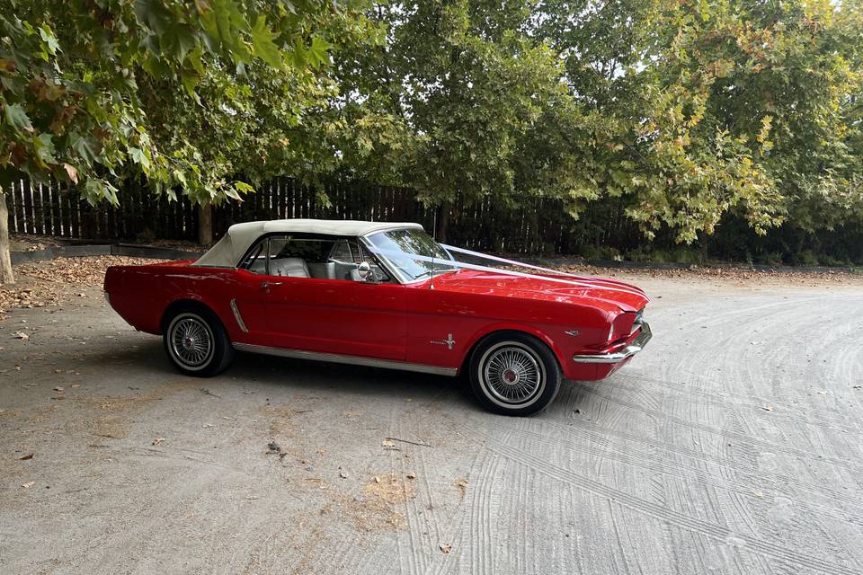 Mustang