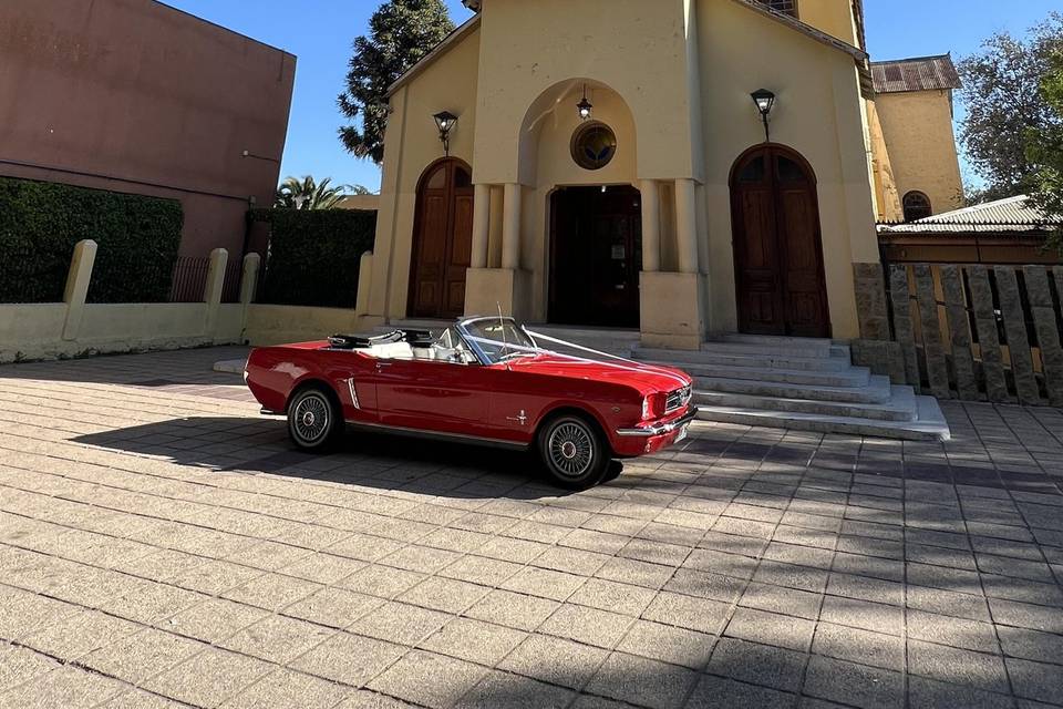 Mustang