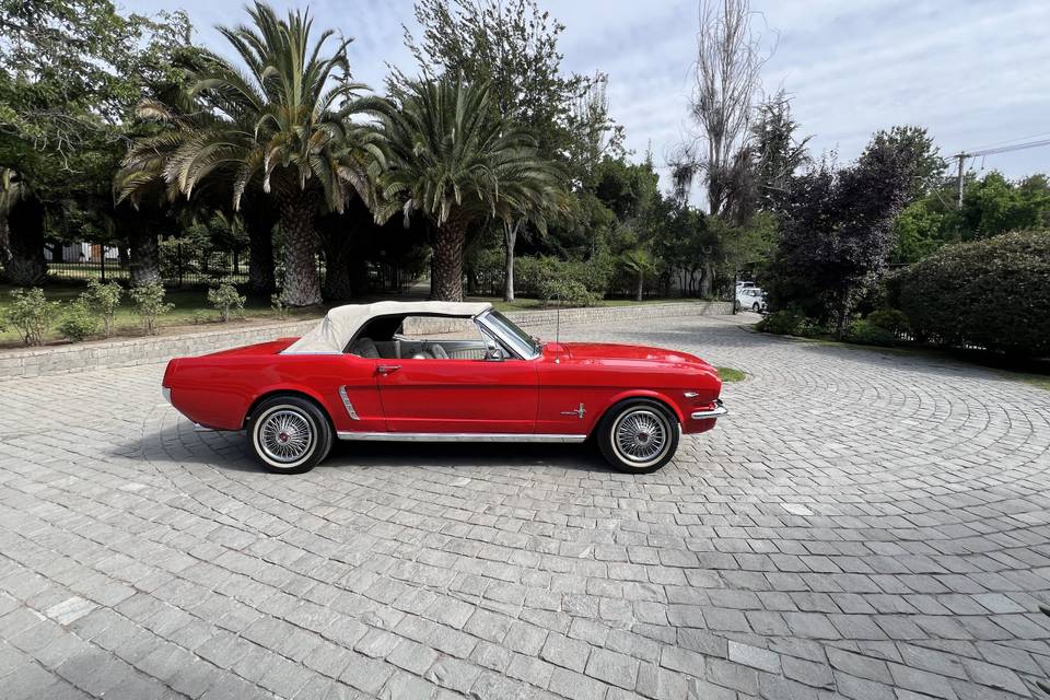 Mustang