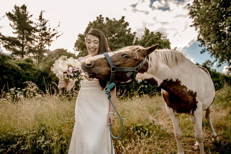 Matrimonios Sureños