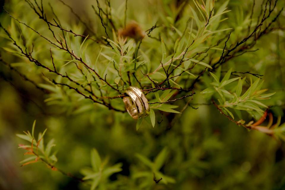 Matrimonios sureños