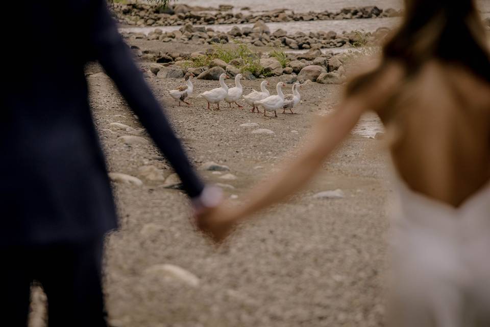Matrimonios Sureños