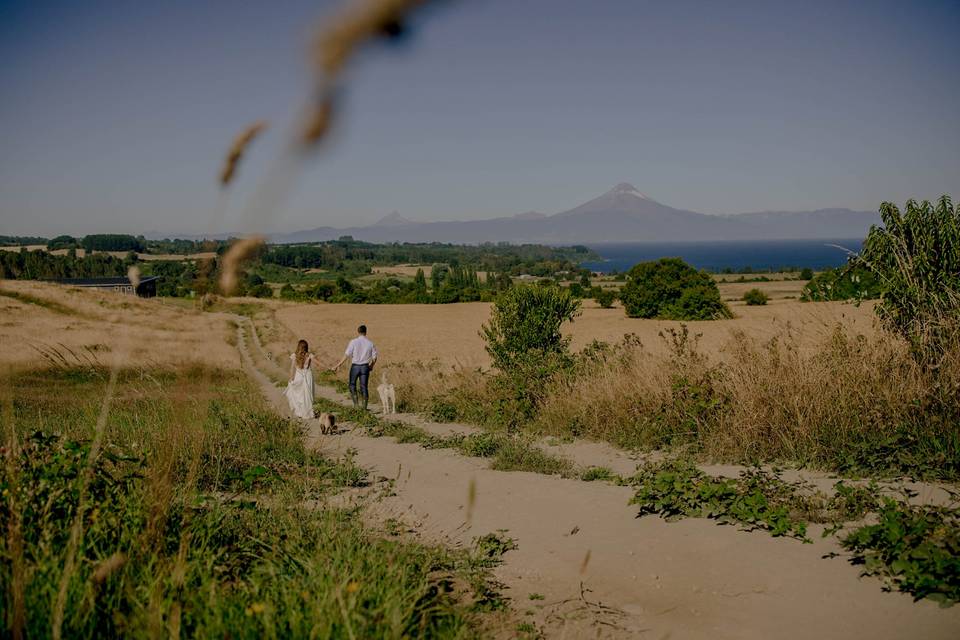 Matrimonios Sureños