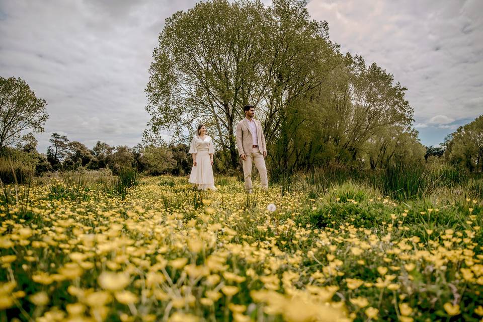 Matrimonios Sureños