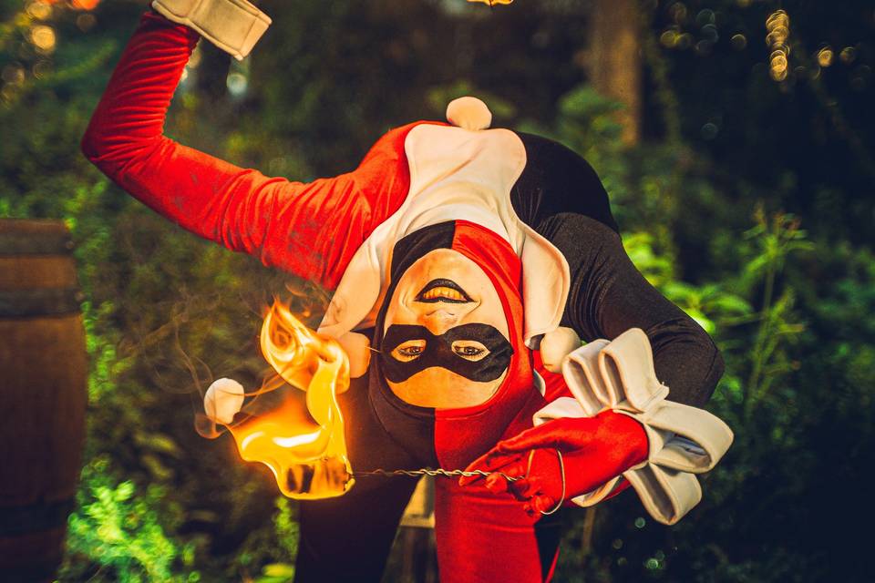 Harley quinn Fuegi