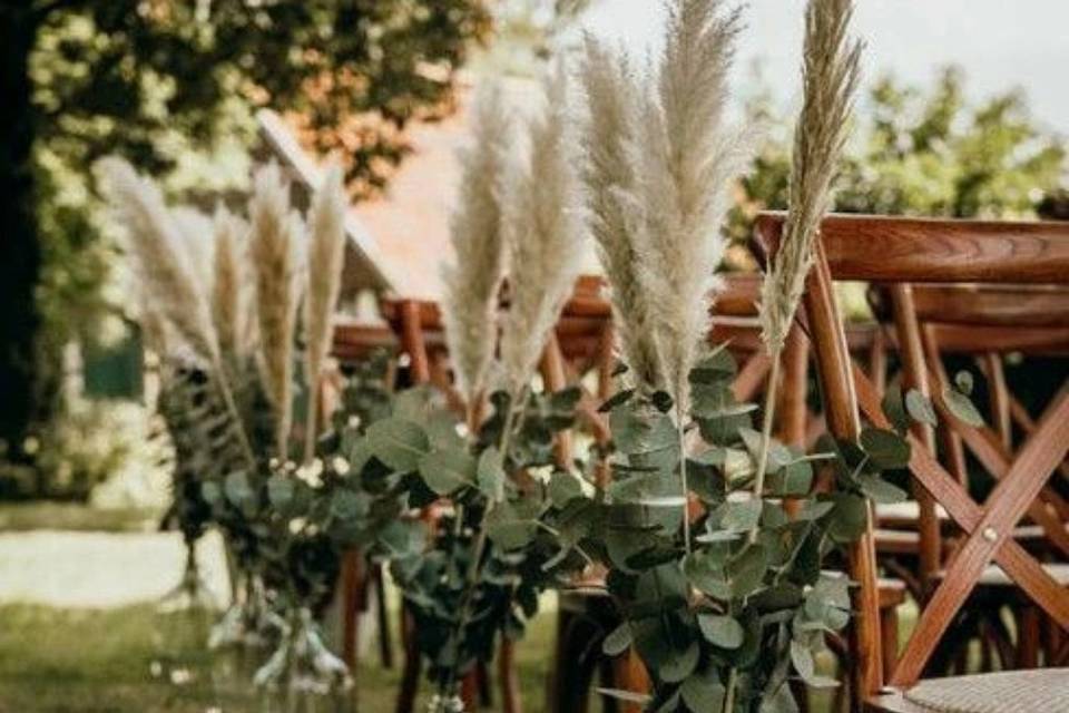 Pampas grass